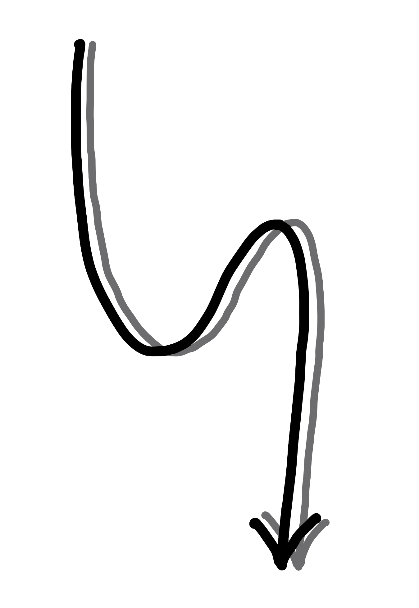 Freccia indicatrice Agora Italia - Scorri per scoprire i servizi disponibili